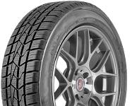 Delinte AW5 215/50 R17 95W 3PMSF